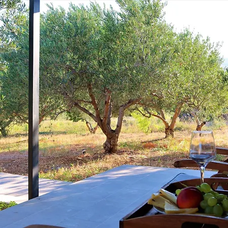 Villa New- Olive Oasis -the Heated Pool & Jacuzzi *